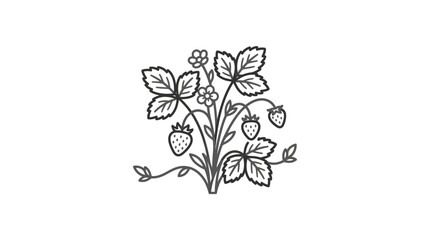 Fototapeta premium Creative Minimalist Line Drawing of Fresh Strawberry Plant with Leaves and Flowers in Monochrome