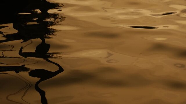 Golden Water Ripples Sunset Reflection Canal River Surface Abstract Texture Background Warm Light Pattern Nature Urban Landscape