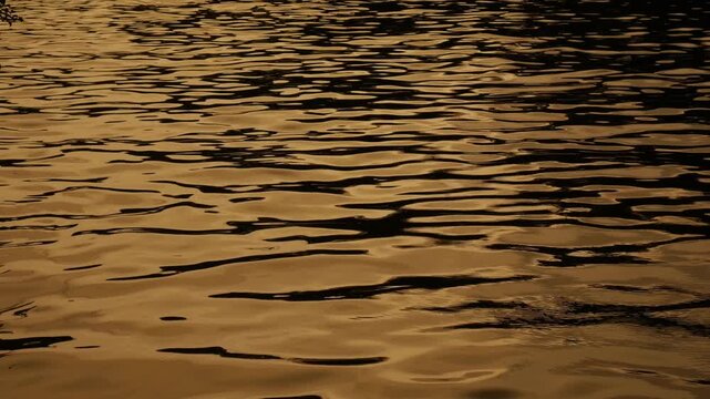 Golden Water Ripples Sunset Reflection Canal River Surface Abstract Texture Background Warm Light Pattern Nature Urban Landscape
