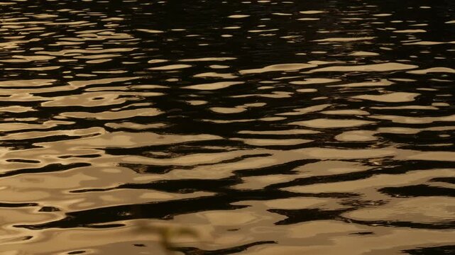 Golden Water Ripples Sunset Reflection Canal River Surface Abstract Texture Background Warm Light Pattern Nature Urban Landscape
