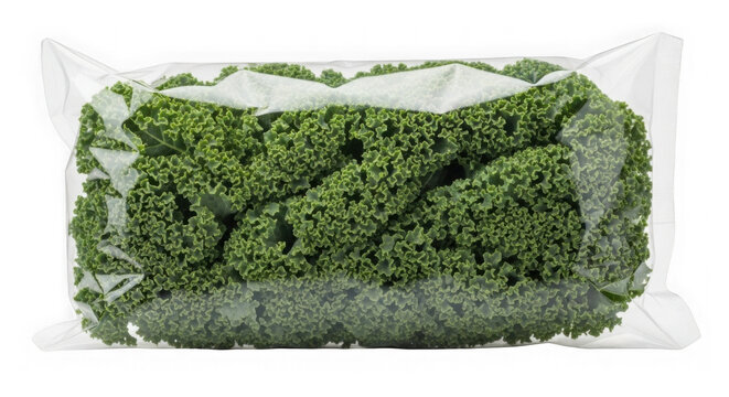 Fresh Kale Bunch in Plastic Bag