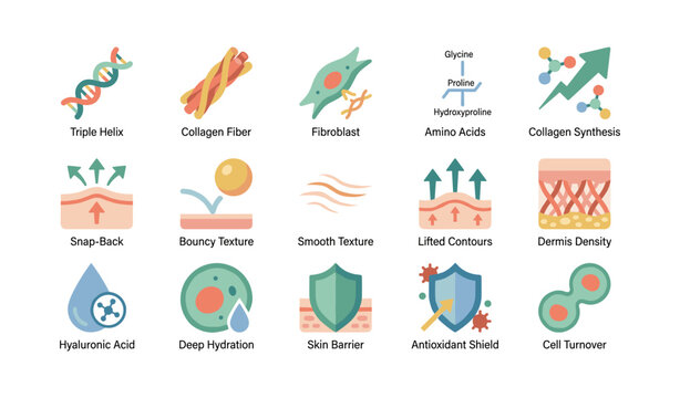 Skincare icons illustrating collagen, hyaluronic acid and benefits