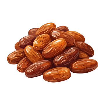 Pile of Dried Dates Fruit Illustration