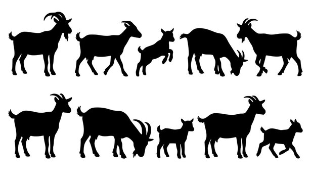 Goat Family Silhouette Vector Set with She Goat Billy Goat and Kids
