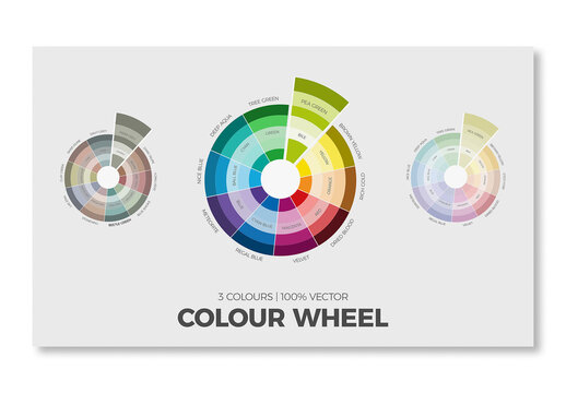 Modern Color Wheel Infographic Template with Harmonious Color Palette Guide Vector