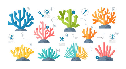 Coral Reef Infographic Vector Set © Bagaskara
