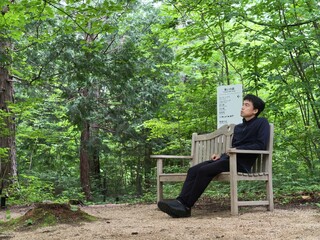 Fototapeta premium Man sits quietly on park bench, surrounded by green trees. He gazes thoughtfully, lost in calm forest solitude. Soft light filters through dense canopy above. Dirt path winds beneath him