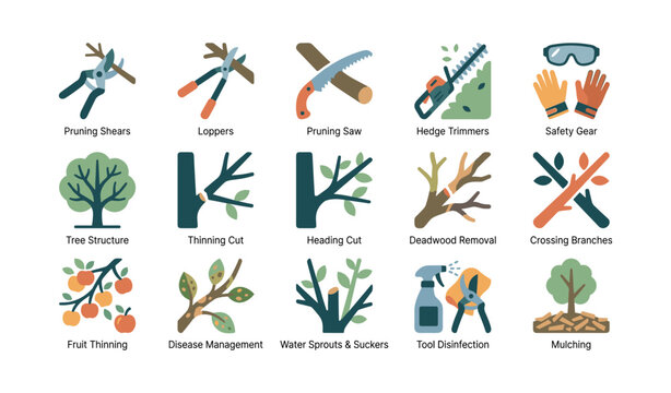 Pruning and tree care icons showing tools techniques and safety