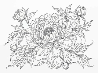 Fototapeta premium Detailed Hand Drawn Peony Flower Illustration Outline for Coloring Page