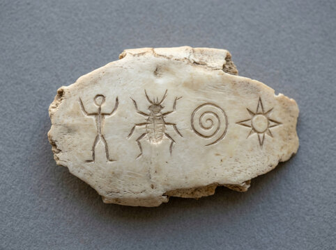 Symbols carved on ancient turtle shells