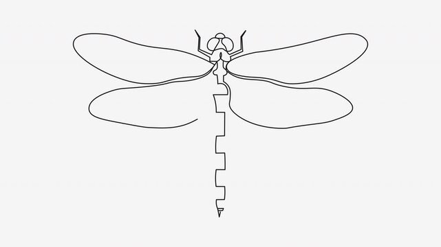 Minimalist continuous line drawing animation of dragonfly insect portrait.