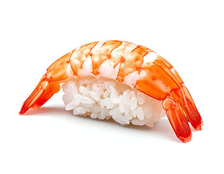 Authentic Japanese ebi shrimp nigiri sushi featuring a butterflied cooked prawn on seasoned rice