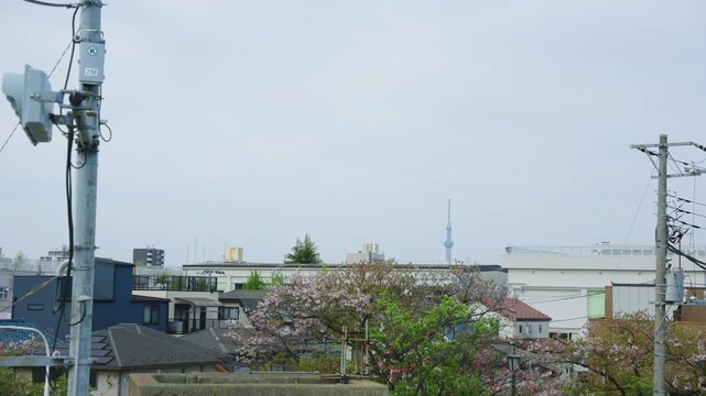Japan Spring View in Average Neighborhood Background, Morning Shot