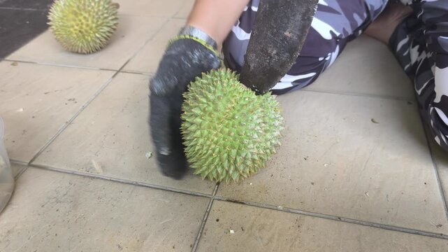 A person carefully cracks open a thorny durian using a traditional machete. The thick husk splits apart seamlessly. Inside, the fresh, rich, creamy yellow flesh is beautifully revealed.
