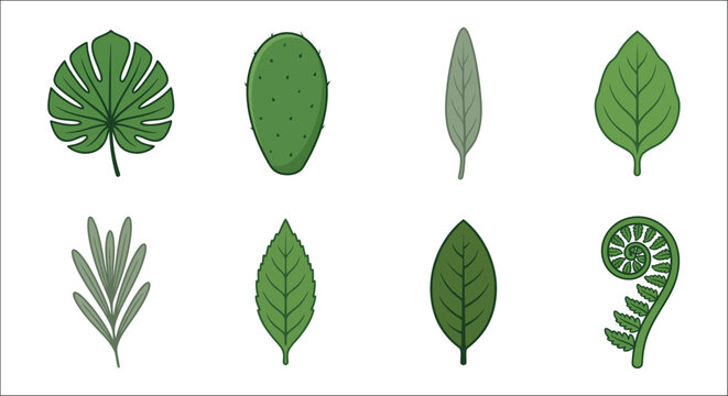 Collection Of Green Leaves And Cactus Pad Flat Vector Illustration On White Background