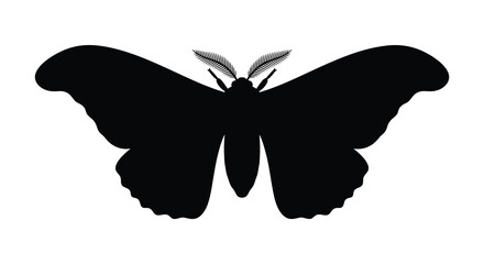 A detailed moth shape in black silhouette against a white background showcasing its wing structure insect lepidoptera wings © Sumon