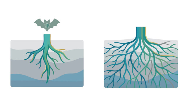Tree Roots Growth Comparison: Protected vs. Unprotected