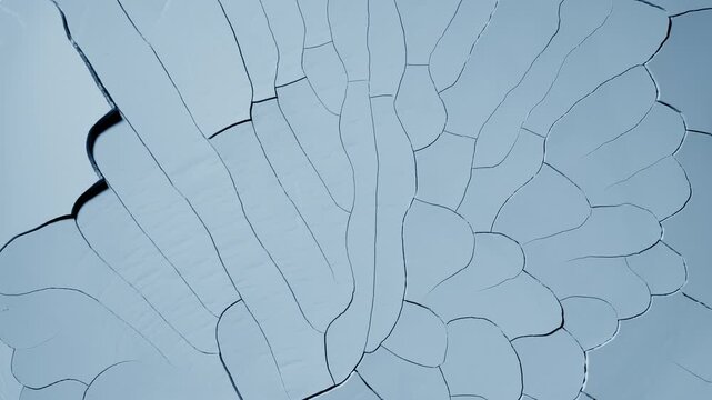 From-above view time-lapse shot of a flat pale blue surface gradually dries, forming visible cracks and a fragmented texture resembling natural mudcracks