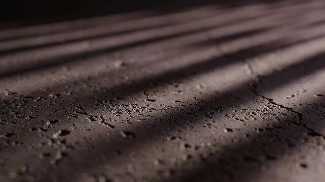 Close-up of Rain-Soaked Asphalt Road Surface with Shadows.