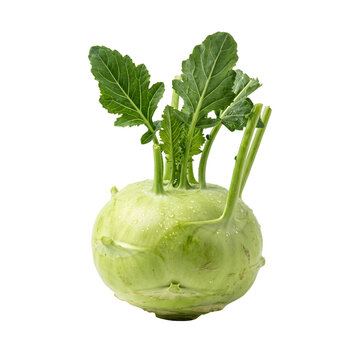 Fresh green kohlrabi with leaves isolated on white background.