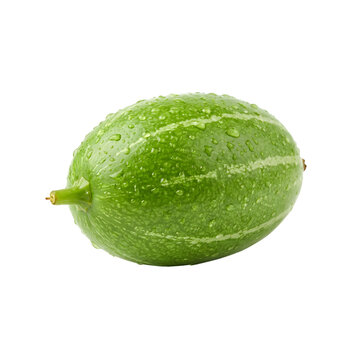 Fresh green pointed gourd with water drops on white background.