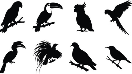 Silhouette set of various tropical exotic birds parrots toucan hornbill and cockatoo isolated on white background © MstRowshan
