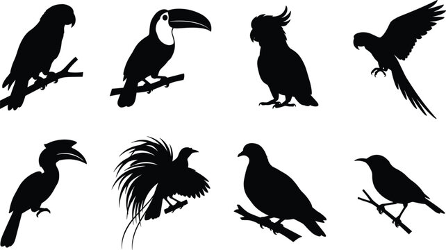 Silhouette set of various tropical exotic birds parrots toucan hornbill and cockatoo isolated on white background