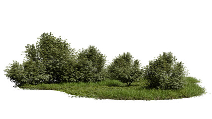 Naklejka premium Group of different trees and shrubs is growing on a grassy patch under bright sunlight. The plants have varying heights and shapes in this natural outdoor space. 3d render