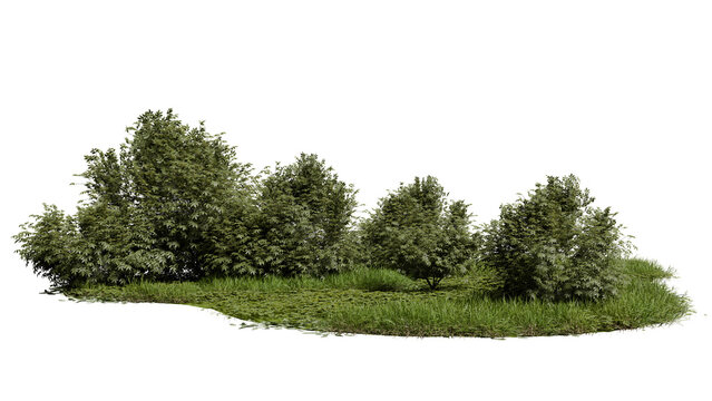 Group of different trees and shrubs is growing on a grassy patch under bright sunlight. The plants have varying heights and shapes in this natural outdoor space. 3d render