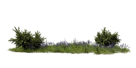 Fototapeta na wymiar The scene features green shrubs and tall grasses with purple flowers. The plants grow in a natural arrangement under bright daylight. The area has no visible human presence. 3d render