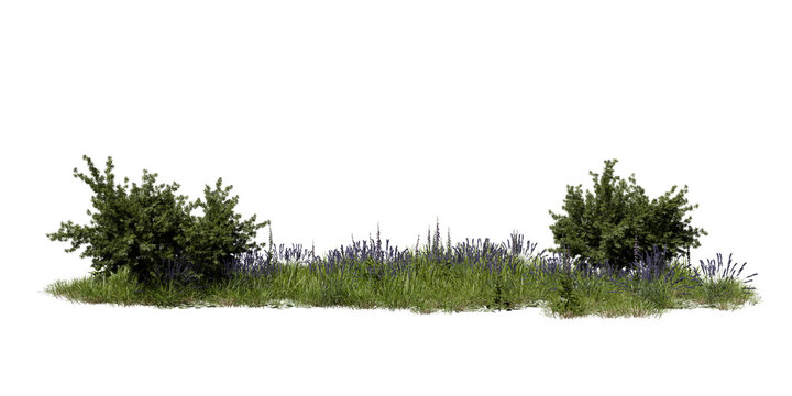 The scene features green shrubs and tall grasses with purple flowers. The plants grow in a natural arrangement under bright daylight. The area has no visible human presence. 3d render