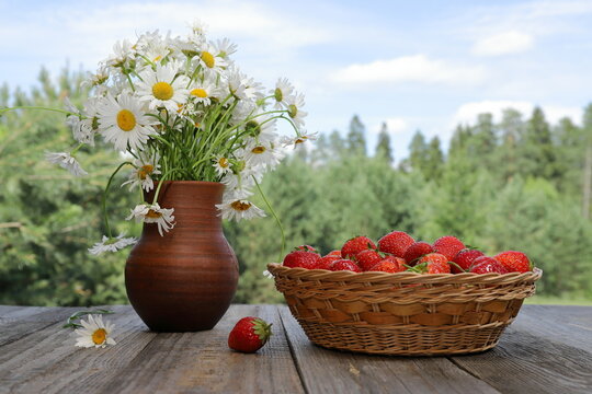 A wicker basket filled with fresh, ripe strawberries stands next to a bouquet of daisies in a clay jug, surrounded by a summer forest landscape under a blue cloudy sky. 