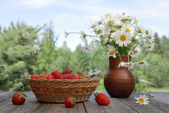 A wicker basket filled with fresh, ripe strawberries stands next to a bouquet of daisies in a clay jug, surrounded by a summer forest landscape under a blue cloudy sky. 