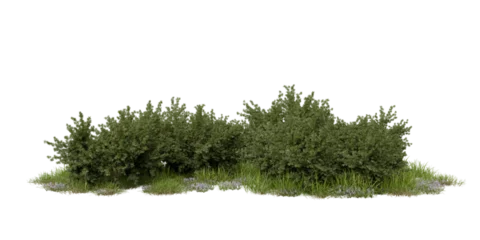 Multiple bushes with green leaves stand together on a patch of grass. Small flowers and grass grow around the bases of the bushes, filling the space with foliage. 3d render © angel_nt