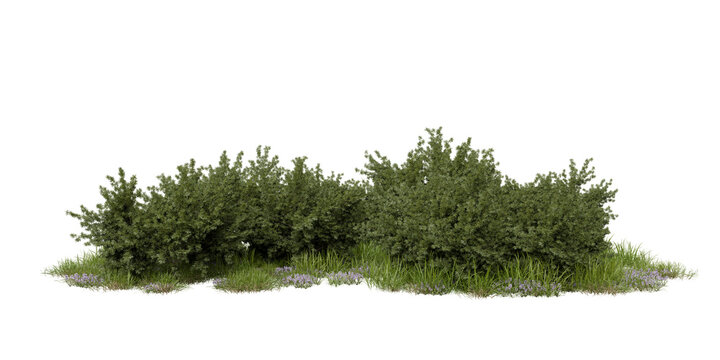 Multiple bushes with green leaves stand together on a patch of grass. Small flowers and grass grow around the bases of the bushes, filling the space with foliage. 3d render