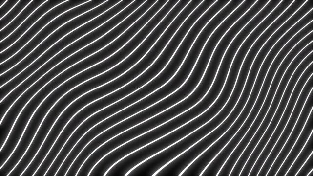 Looping animation of dense glowing white neon distorted lines moving randomly like fluid waves or a topographic map on a black background, ideal for VJ loops