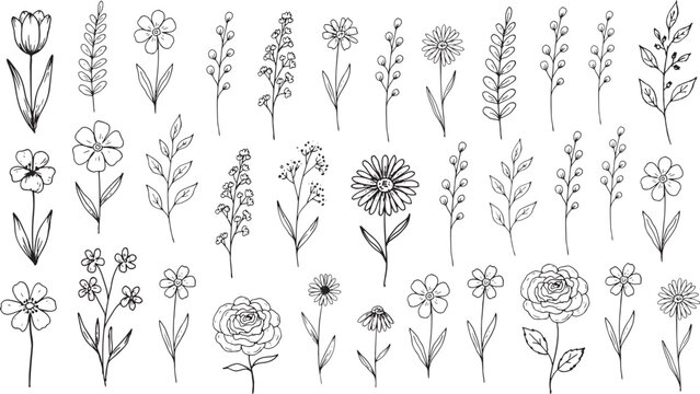 Wildflower line art collection with various meadow plants and botanical flower sketches for rustic wedding invitations garden decor and floral arrangements.