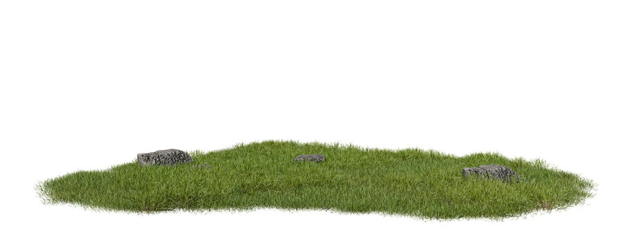 Patch of green grass grows on the ground with a few stones scattered on the surface. Bright light shines down during daytime, creating a natural setting. 3d render