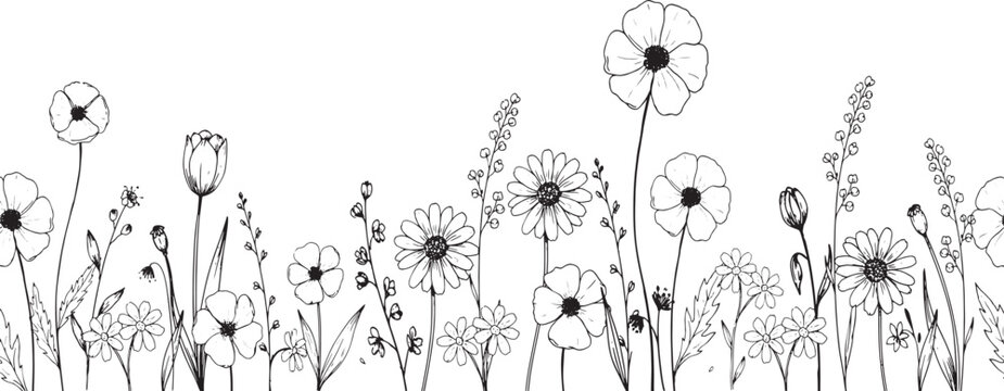 Wildflower meadow sketch horizontal border with hand drawn floral elements botanical line art illustration of garden herbs isolated on transparent background.