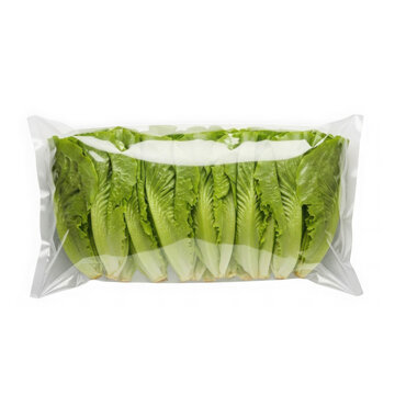 Fresh lettuce leaves in plastic bag