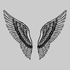 Fototapeta premium Black and white angel wings, feather illustration, wing design, vector wings