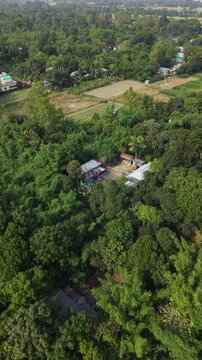 Lush green tropical landscape aerial view rural village scattered houses dense foliage lush