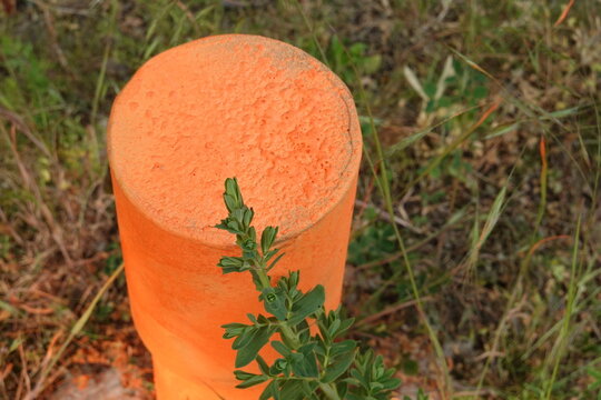 Plot en b&eacute;ton peint en orange fluo pour emp&ecirc;cher un stationnement devant une maison