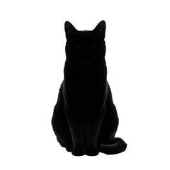 Mysterious low key black cat silhouette sitting © BTG