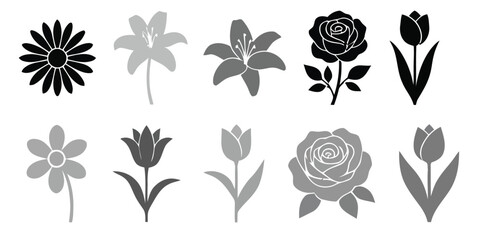 Fototapeta premium Floral silhouettes collection roses tulips lilies and daisies in grayscale