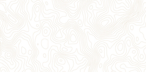 Abstract topographic map contour lines pattern on white background with topographic abstract geography elevation background cartography minimalist © MD