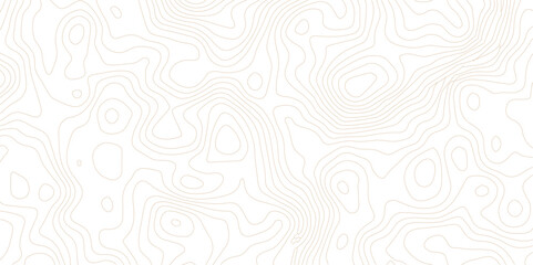 Abstract topographic map contour lines pattern on white background with topographic abstract geography elevation background cartography minimalist © MD