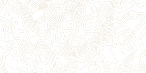 Abstract topographic map contour lines pattern on white background with topographic abstract geography elevation background cartography minimalist © MD