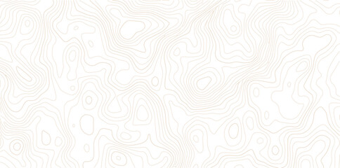 Abstract topographic map contour lines pattern on white background with topographic abstract geography elevation background cartography minimalist © MD
