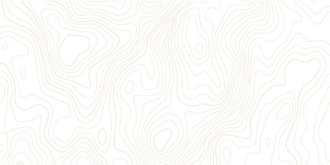 Abstract topographic map contour lines pattern on white background with topographic abstract geography elevation background cartography minimalist © MD